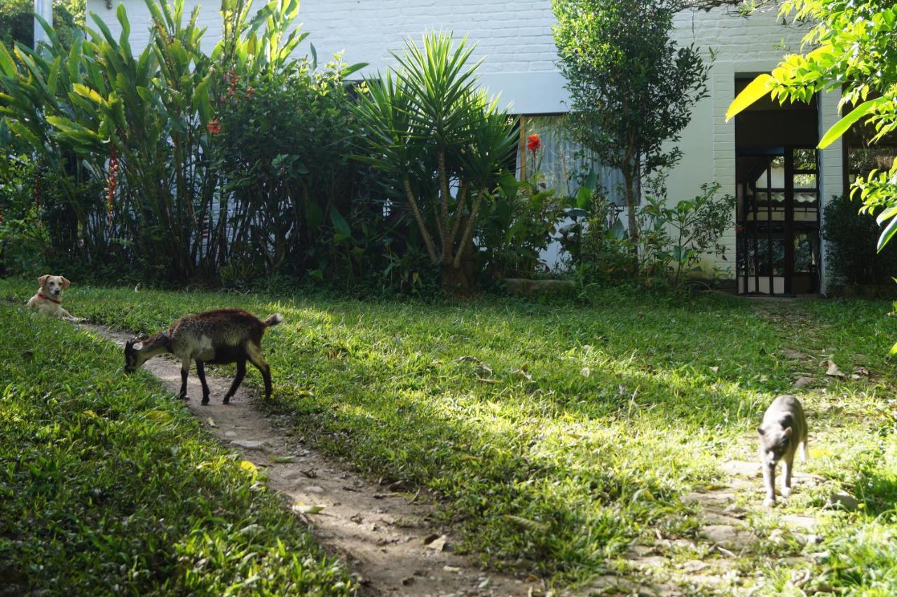 Skale Peregrino Pension Choachí Buitenkant foto