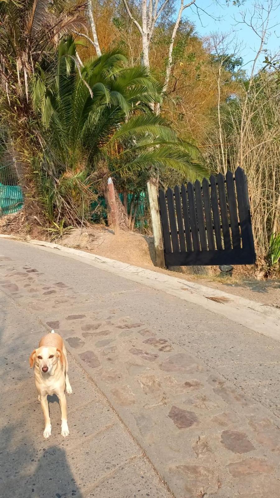 Skale Peregrino Pension Choachí Buitenkant foto